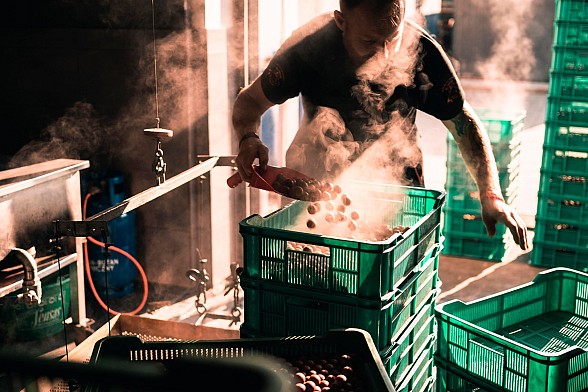 Jak konserwować kulki proteinowe