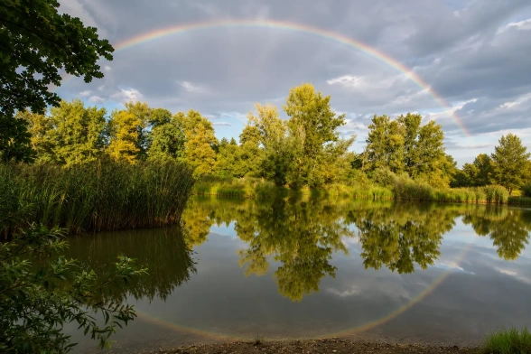 Co to jest wędkarstwo? Spokój, natura i pasja, która zaczyna się nad wodą
