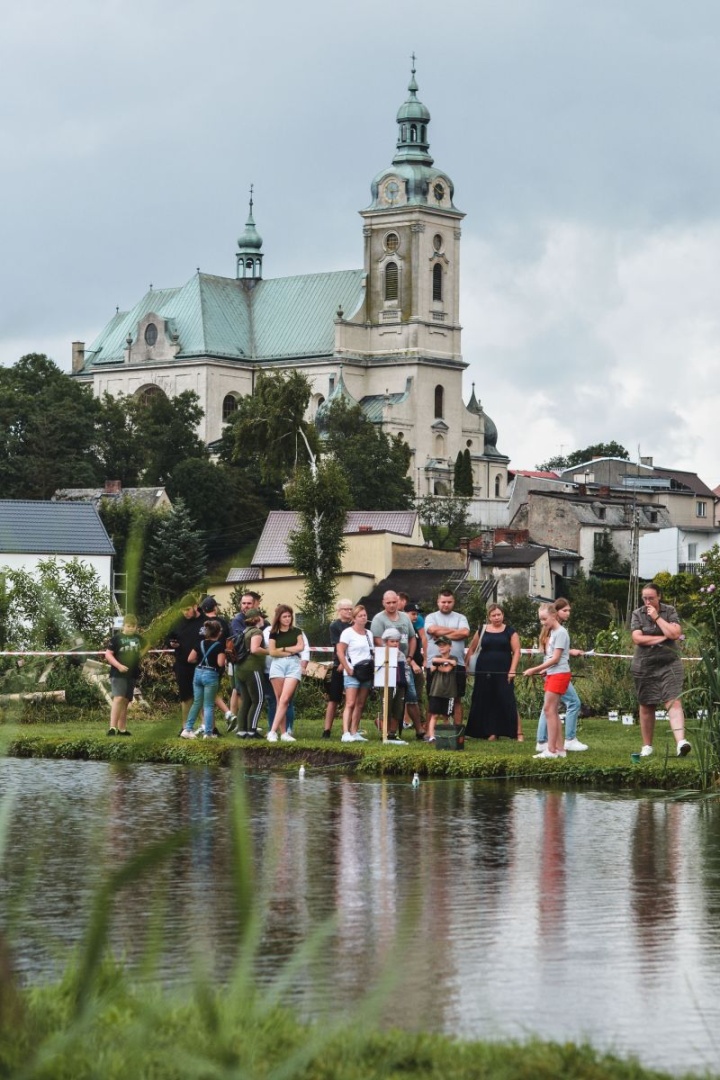 Zdjęcie 48 z 64 48 z 64