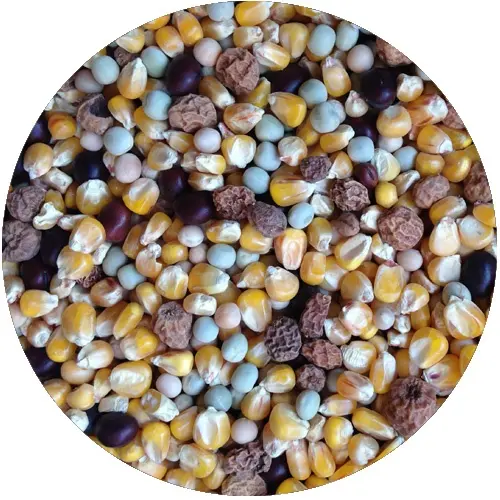 Rockworld Blend Mix ciężar 3 kg - MPN: 009 - EAN: 200000099053