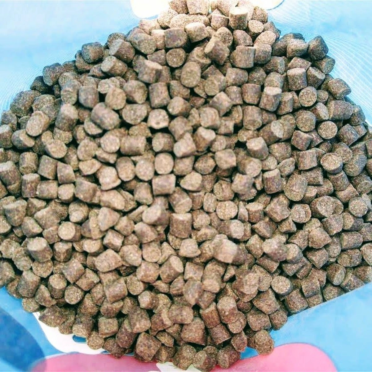DUDI BAIT Pellet Fishopakowanie 5mm / 1kg - MPN: DBPE87 - EAN: 6426390481085
