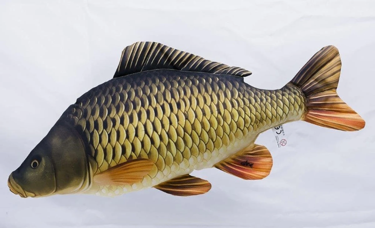 GABY - Pluszowy Karp Pełnołuski ( Mini 36 cm ) długość 36 cm - MPN: GP-175853 - EAN: 5905279175853