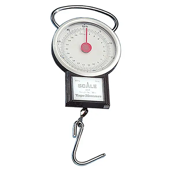 Jaxon Scale  - Waga Mechanicznaopakowanie 1 sztuka - MPN: AK-WA190 - EAN: 5900113014572
