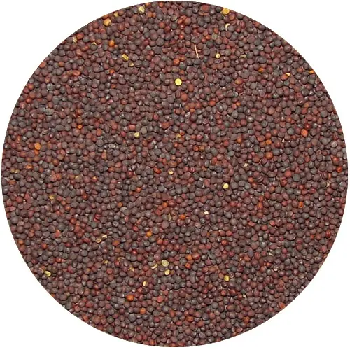 opakowanie 25 kg