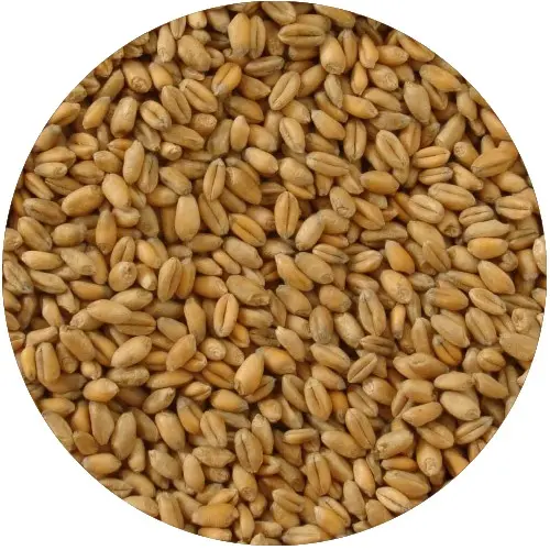 opakowanie 3 kg