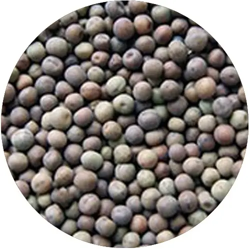 Rockworld  - Groch Ziarnoopakowanie 25 kg - MPN: 033 - EAN: 200000099268