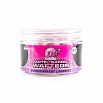 Mainline Pastel Barrel Wafters - Blackcurrant Liquorice