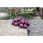 Carp Gravity Alfa Boilies - Secret Forest 18mm / 3kg