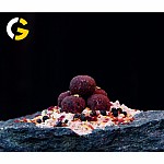 Carp Gravity Bio Secret Boilies - Zołza 18mm / 3kg