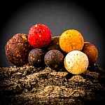 Kulki Proteinowe &raquo; MassiveBaits Vario Mixed Boilies - Fish  14-18-24 / 5kg / wiaderko &raquo; Rockworld Sklep dla karpiarzy, Sklep Wędkarski - Kulki proteinowe