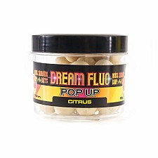 Misel Zadravec Carp Dream Fluo Pop Ups Citrus