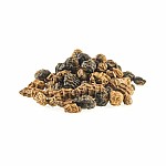 Rockworld Black n Brown African Goliath XXL Tigernuts 10-35mm