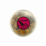 MassiveBaits Salty Sweet Tigers - Scarlett