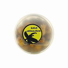 MassiveBaits Salty Sweet Tigers - Fatal Attraction