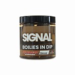 Starbaits PC Boilies in Dip Signal