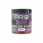 Starbaits Probiotic Boilies in Dip - Blackberry