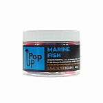UltimateProducts Top Range Pop-Ups - Marine Fish