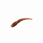 Delphin THE END WORMER - Line Aligner