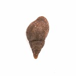 EnterpriseTackle Imitation Snail