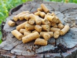 DUDI BAIT Pellet CSL DUDI BAIT Pellet CSL