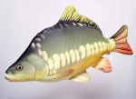 GABY - Pluszowy Karp (Średni 61 cm)