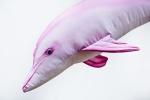 GABY - Pluszowy Delfin Różowy ( 55 cm )