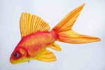 GABY - Pluszowa Złota Rybka ( 60cm )