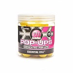 Mainline Pop-Ups - Essential Cell
