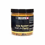 CcMoore Paste - Live System
