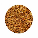 MassiveBaits Gammarus Czerwony 1000 ml