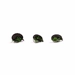 Nash Zig Bugs Black Louse