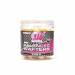 Mainline High Impact Balanced Wafters - Choc-O