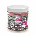 Mainline High Impact Balanced Wafters - Salty Squid  18mm