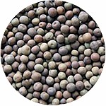 Rockworld - Groch Ziarno 3 kg Rockworld - Groch Ziarno 3 kg