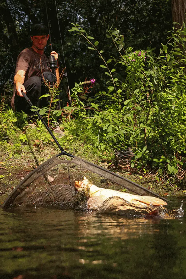 Fox Horizon X4 Landing Net 42 - 1 piece