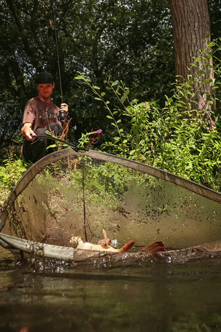 Fox Horizon X4 Landing Net 42 - 1 piece