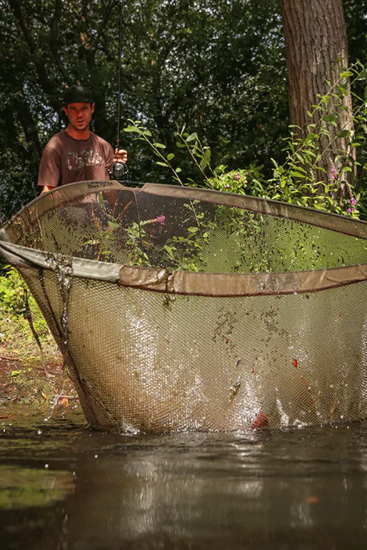 Fox Horizon X4 Landing Net 42 - 1 piece