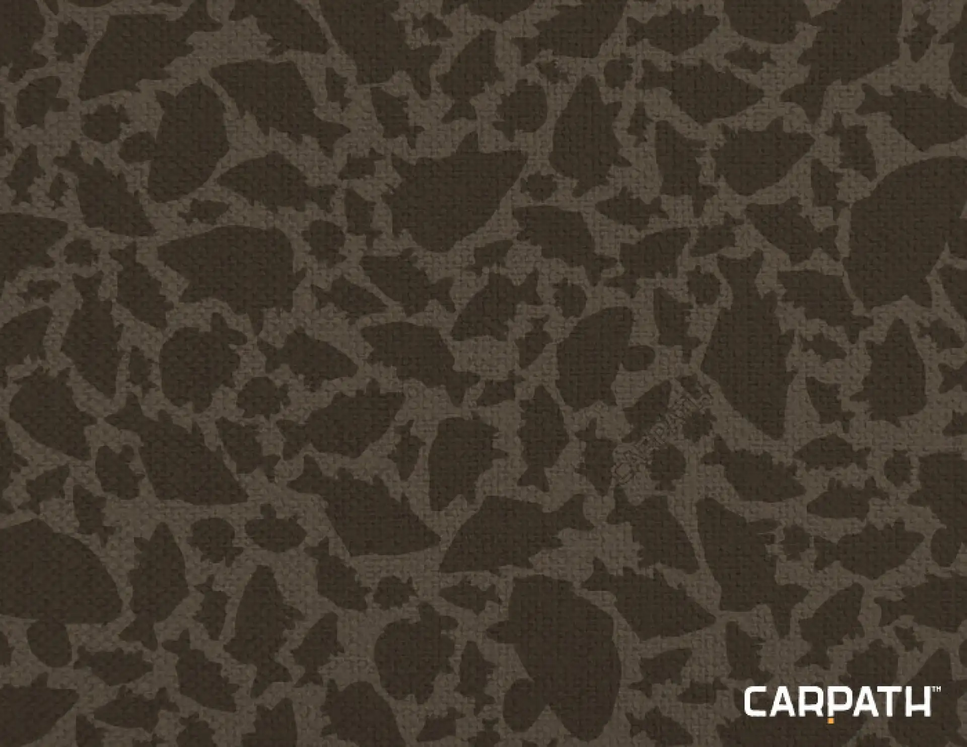 Delphin AREA BITE Carpath Swinger Pouch
