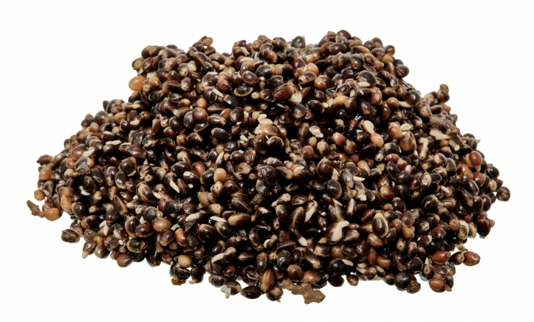 Starbaits Ready Seeds Hemp - Hot Demon 1kg