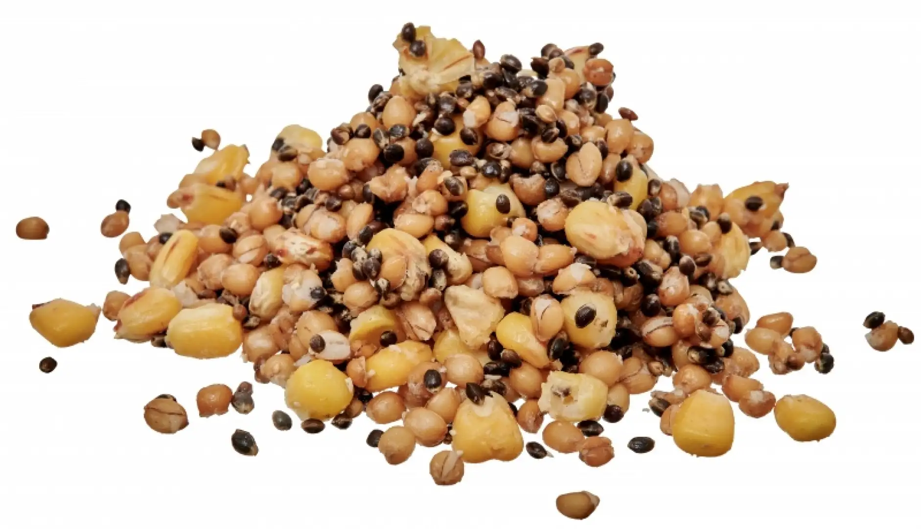 Starbaits Ready Seeds Spod Mix - SK30 3kg