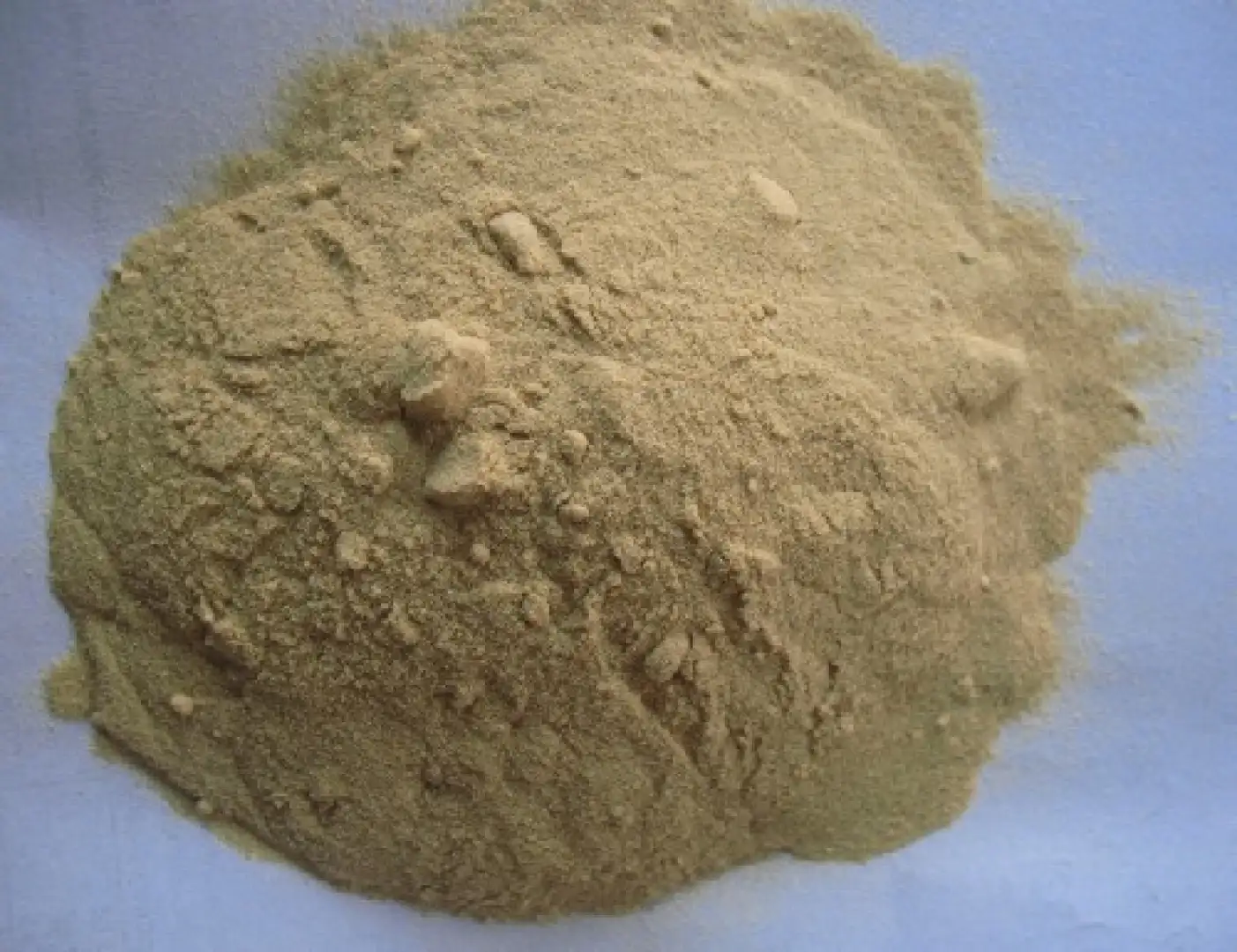 Carp Gravity Squide Liver Meal - Mączka z Kałamarnicy 0.5kg