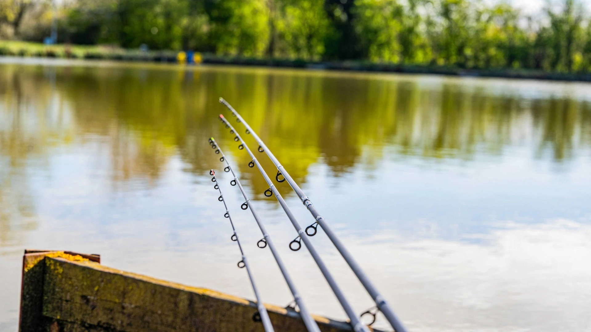 Preston Innovations DURA Carp Feeder 10ft (300cm) / 40g