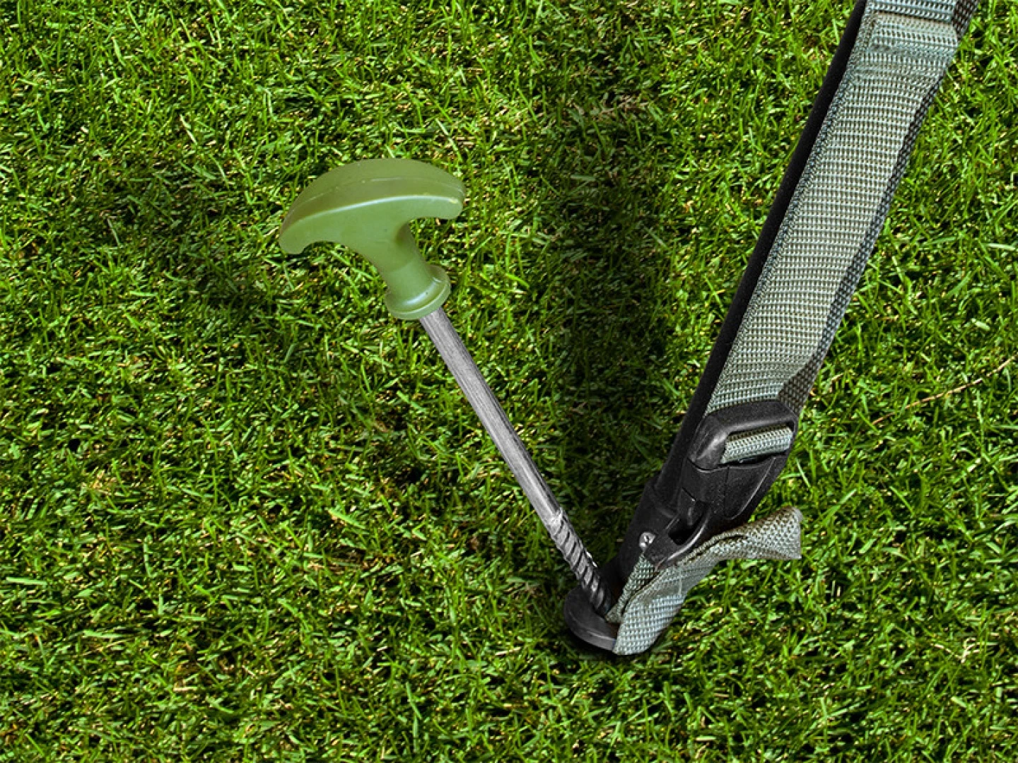 Delphin Set of Tent Stakes FIXT C2G 30cm