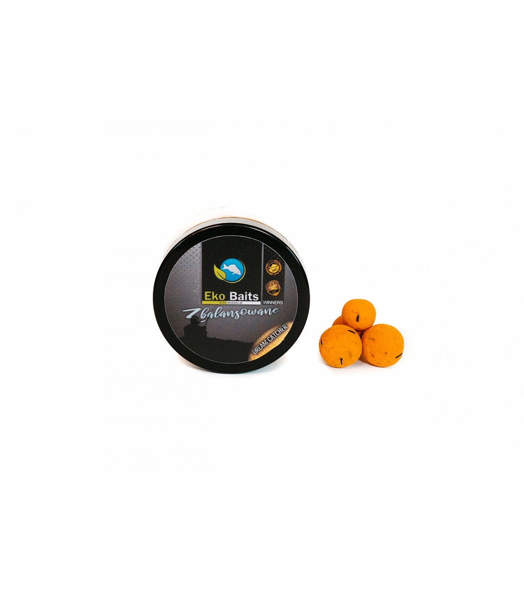 Eko Baits Wafters - Dream Catcher