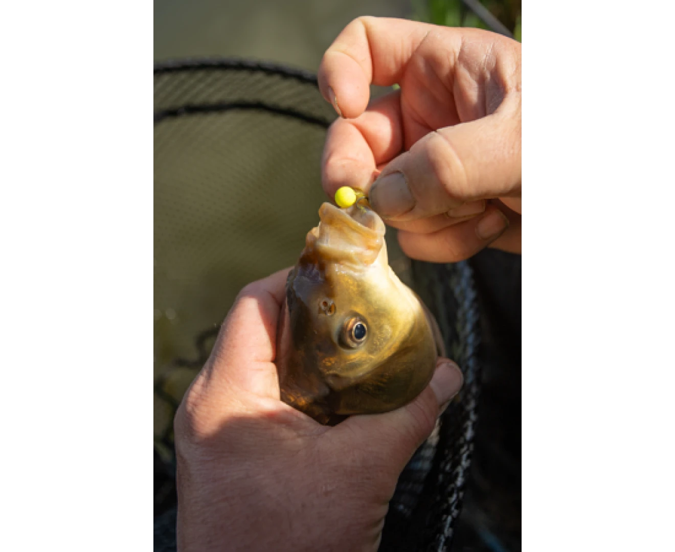 Sonubaits Spike'um Wafter Banoffee 8mm