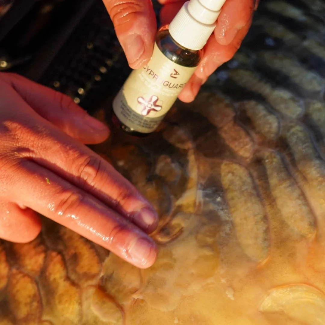 One More Cast Cyproguard - Odkażacz do ryb