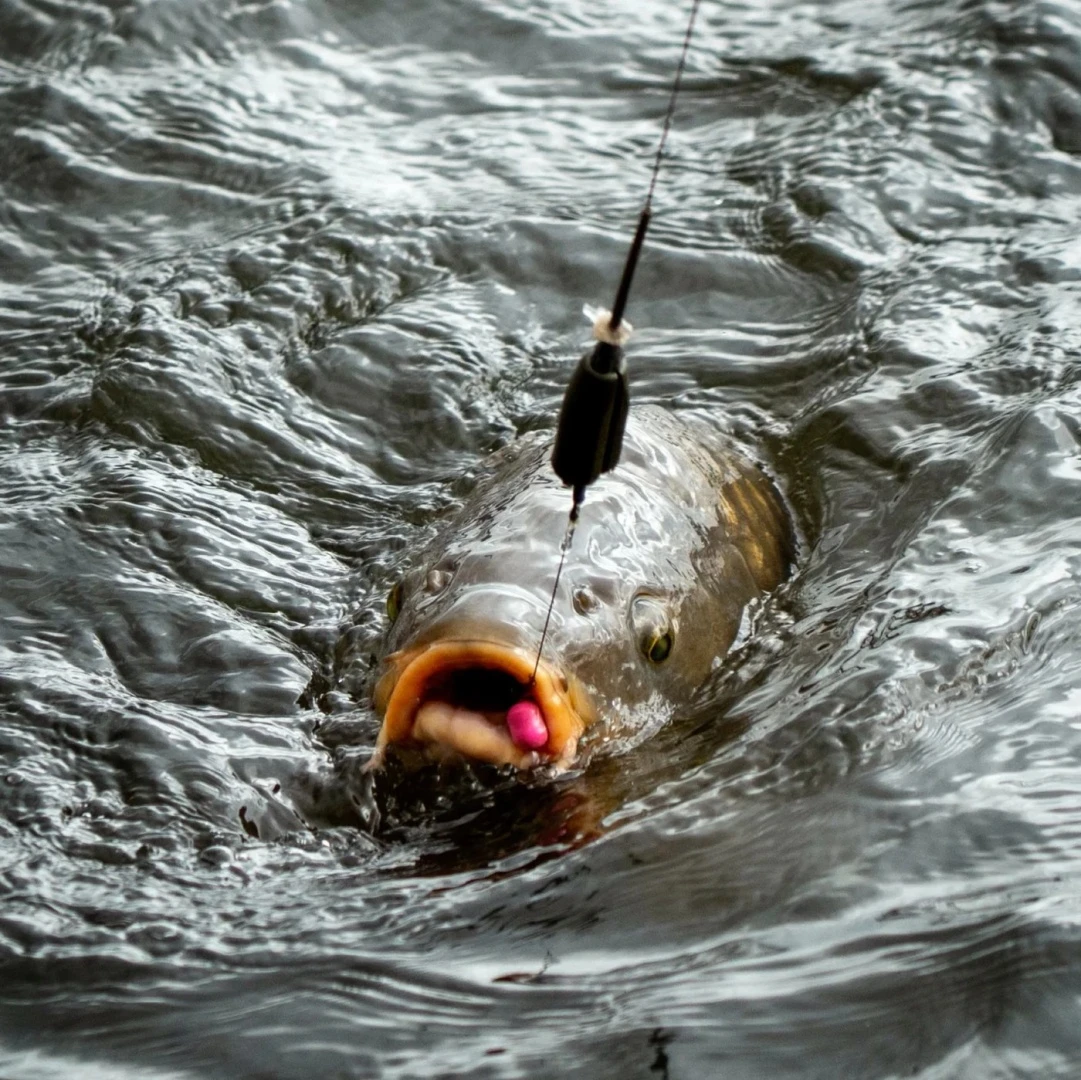One More Cast Magic Wand Inline Lead