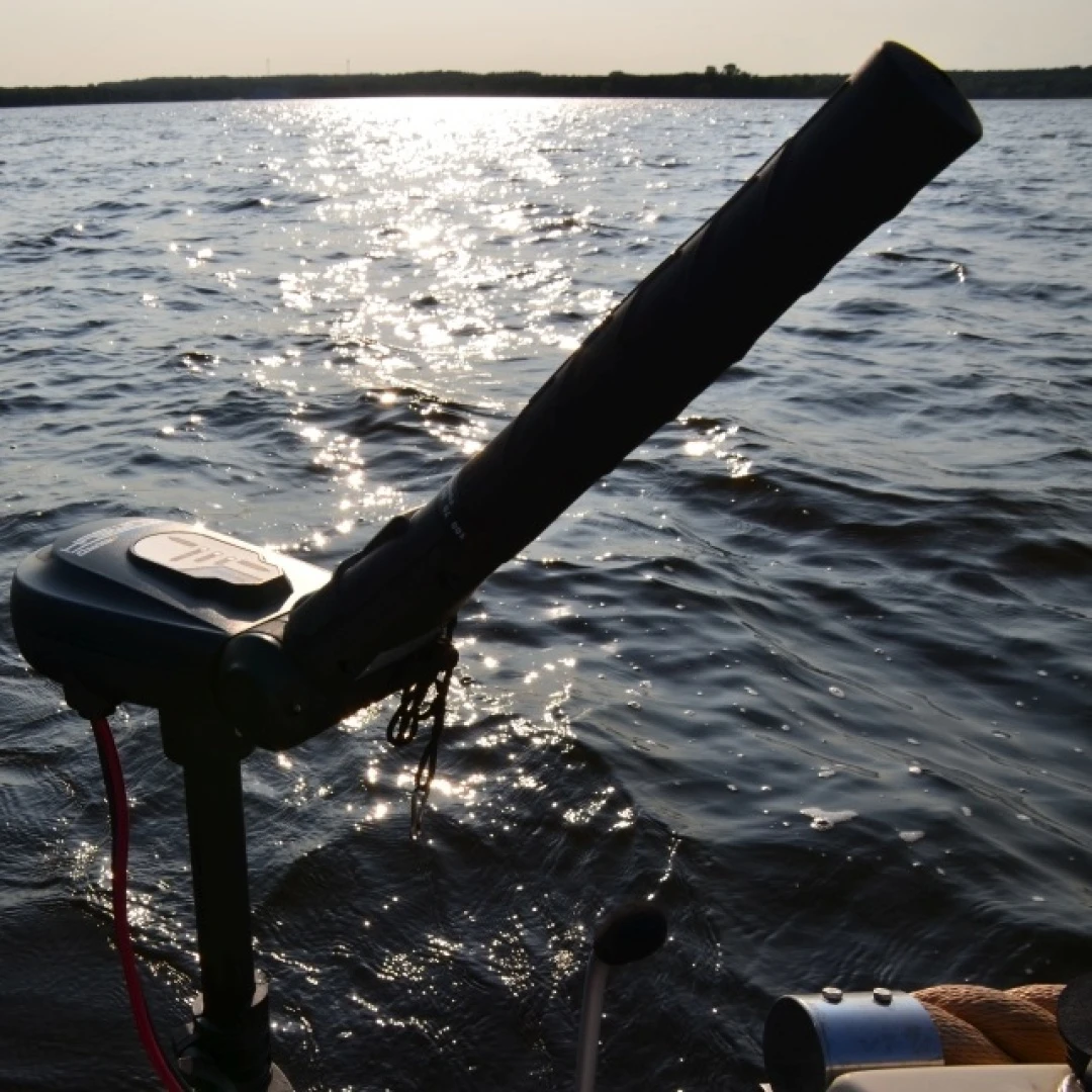 Haswing PROTRUAR 1.0 PRO - Silnik Elektryczny