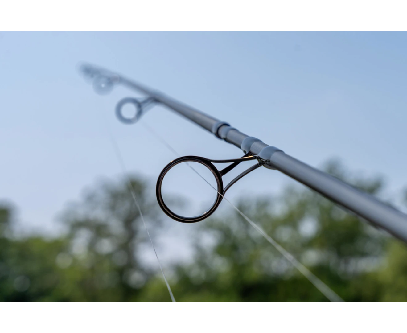 Avid Carp Ascent Rods 12ft / 3lb