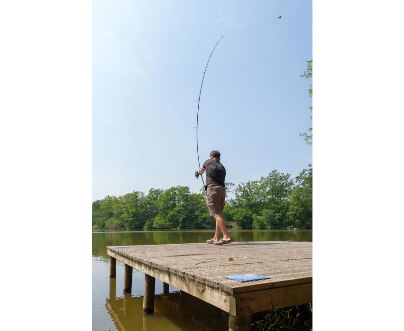Avid Carp Ascent Rods 12ft / 3lb